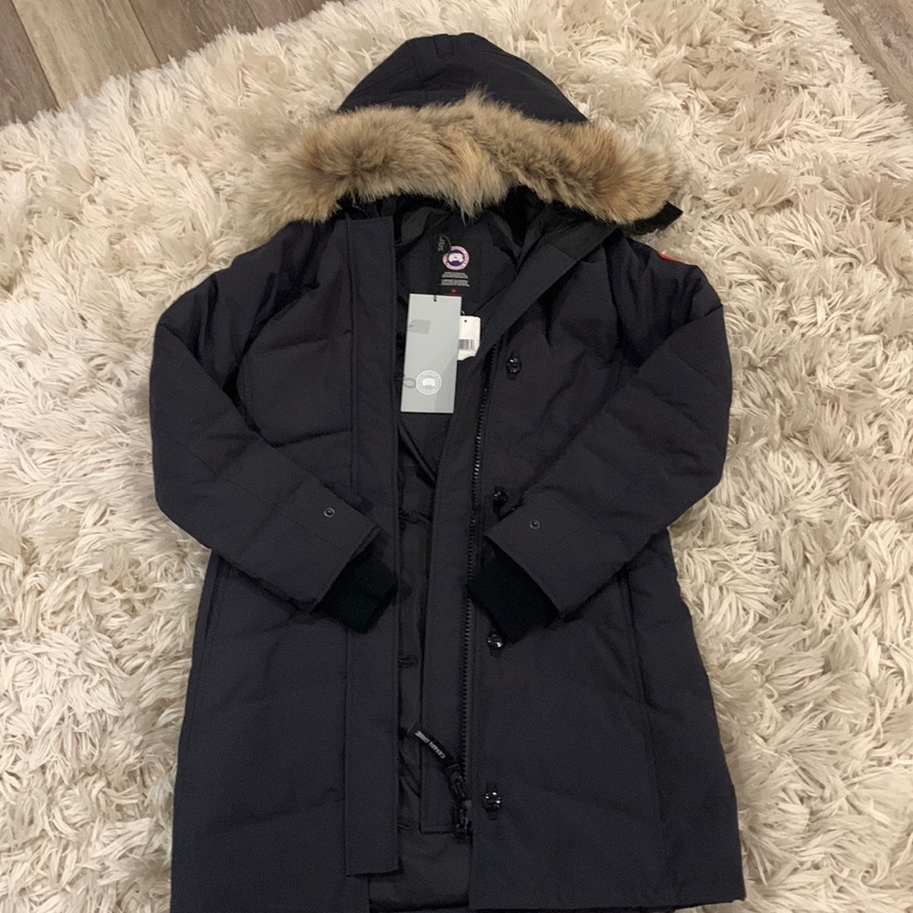 Canada goose